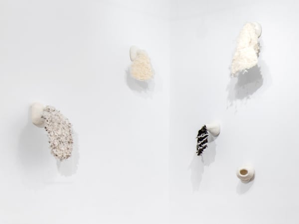 Solange Pessoa, Metaflor-Metaflora 2, 2017-2018