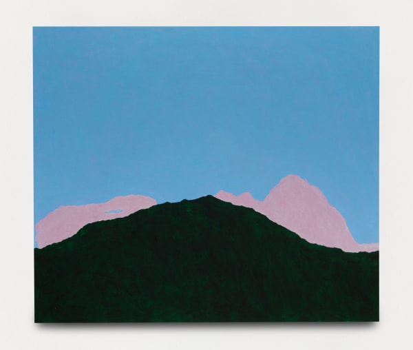 Patricia Leite, Verde e Rosa (Green and Pink), 2022