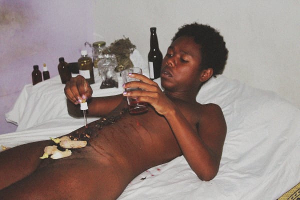 Castiel Vitorino Brasileiro, Hibisco (Hibiscus), 2019