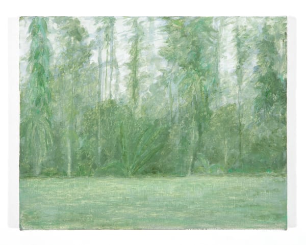 Lucas Arruda, Sem Título, 2012