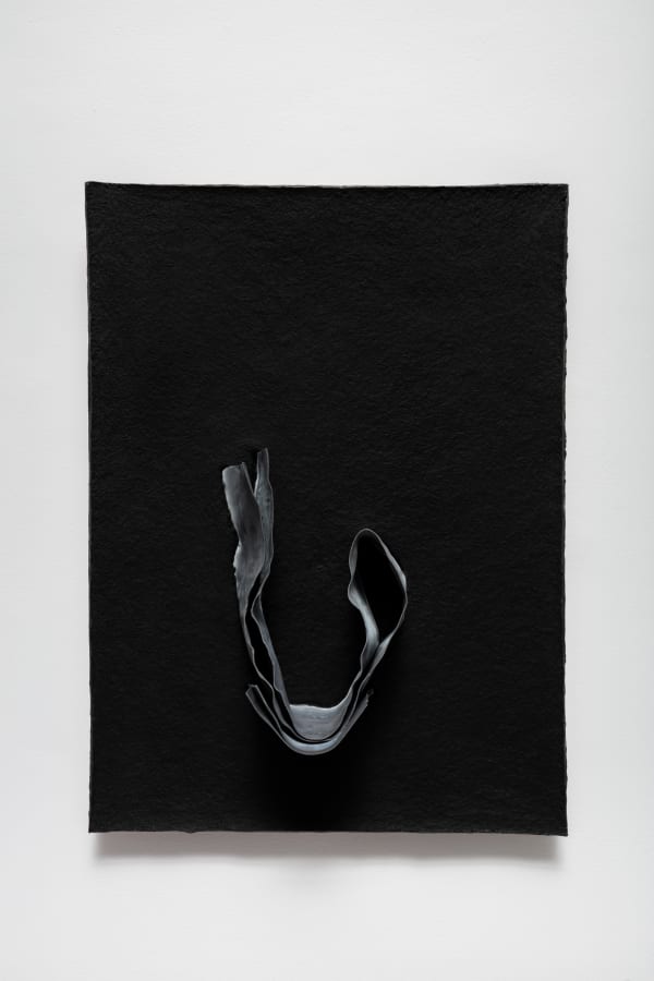 Paloma Bosquê, Plate / Placa, 2021