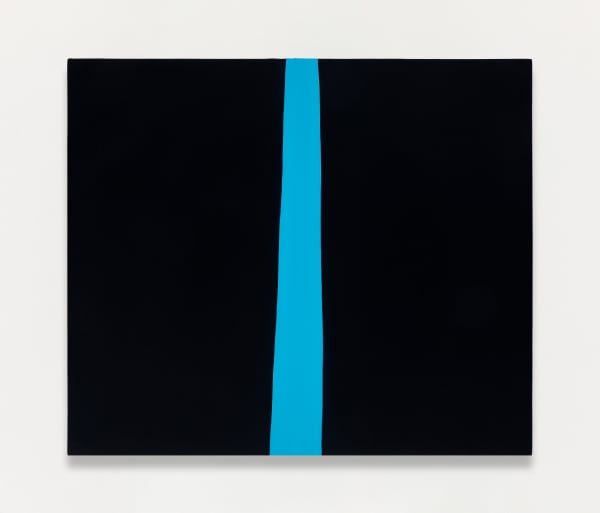 Patricia Leite, Sem Título (Fresta), 2011