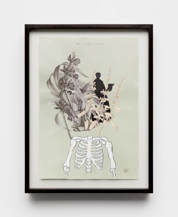 Rosana Paulino, Daughters of Eve | As Filhas de Eva, 2014