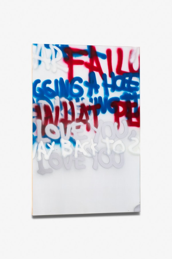 Stefan Bruggemann, Against Failure, 2013