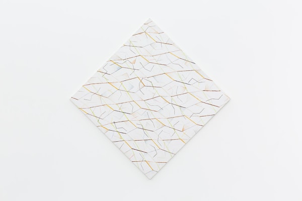 Daniel Steegmann Mangrané, Morfogênesis / Crípsis, 2013