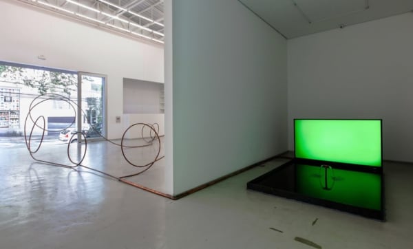 Florian Meisenberg, Being blonde with insufficient funds, 2014