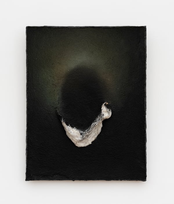 Paloma Bosquê, Plate / Placa, 2022