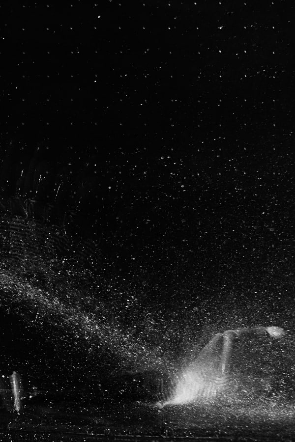 Leticia Ramos, Queda, 2017