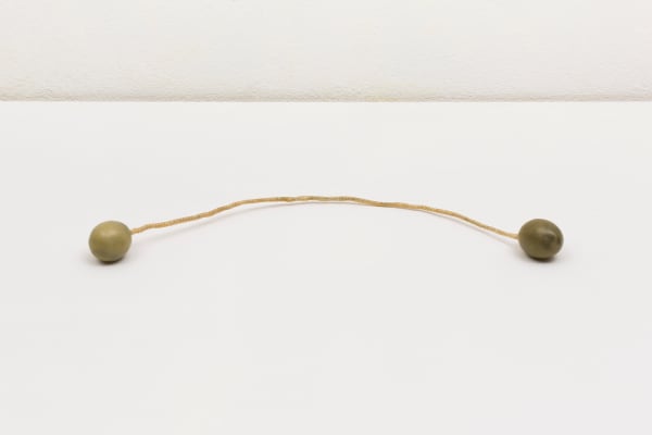 Paloma Bosquê, Cobra de duas cabeças | Two-headed snake, 2018