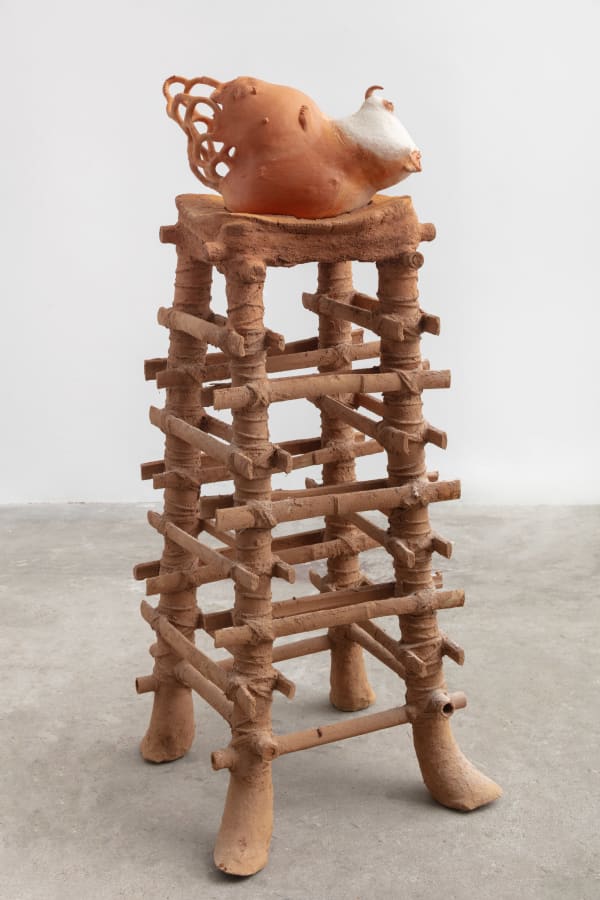 Josi, aumbi, da série: rastapé | aumbi, from the series: rastapé, 2024