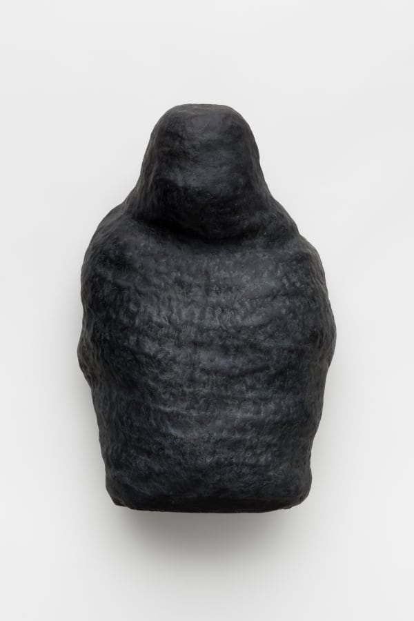 Solange Pessoa, Untitled | Sem título, 2019 - 2024