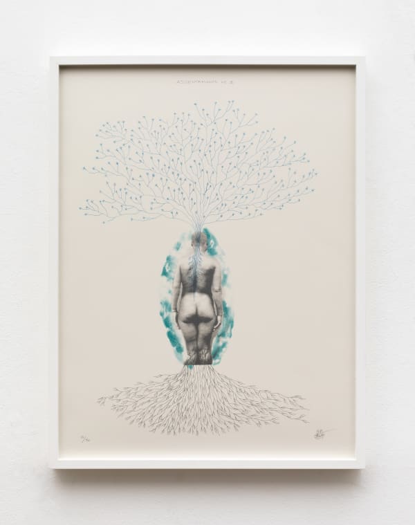 Rosana Paulino, ASSENTAMENTO N. 3, 2013 - 2014