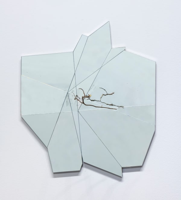 Daniel Steegmann Mangrané, Systemic Grid (Mirror), 2021