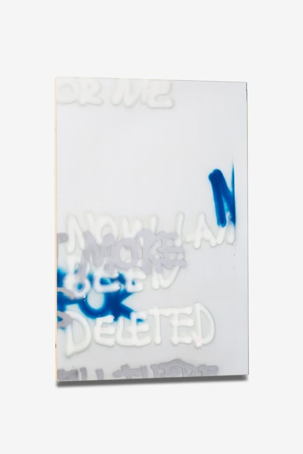 Stefan Bruggemann, Deleted, 2013