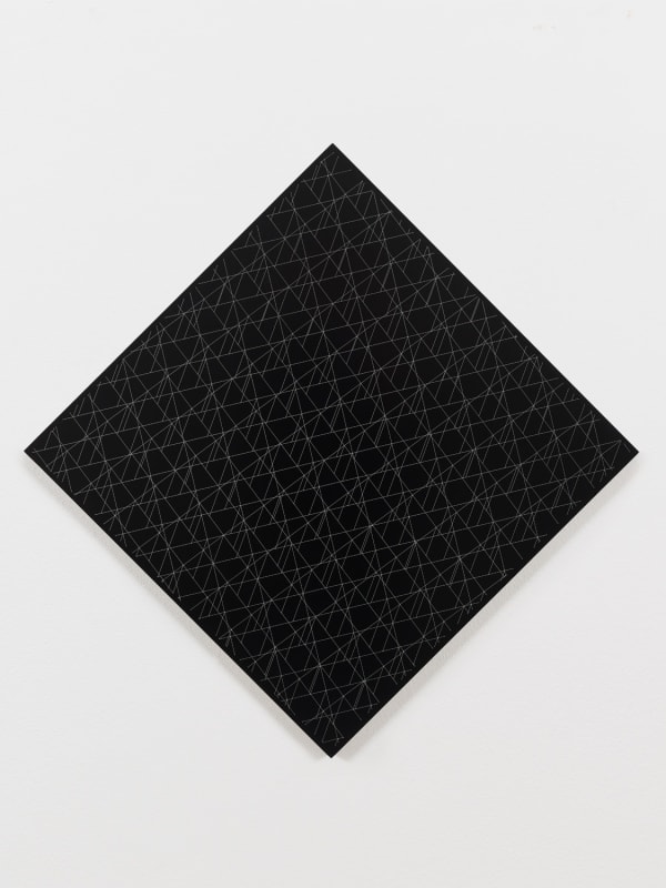 Daniel Steegmann Mangrané, Systemic Grid, 2019