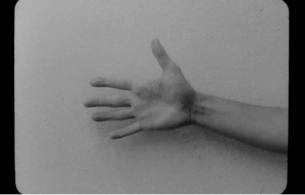 Runo Lagomarsino, America I use your name in vain, 2019