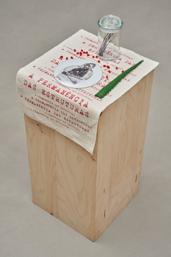 Rosana Paulino, Untitled | Sem Título, 2025