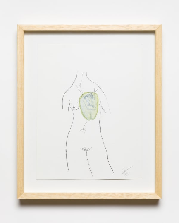 Rosana Paulino, from Carapace of Protection series, 2004