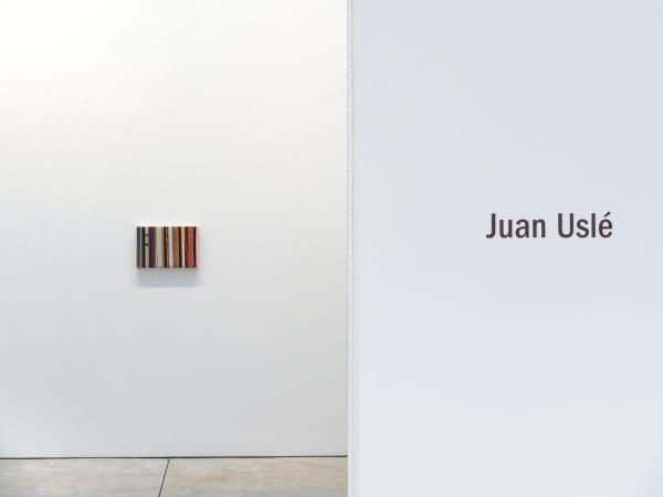 Juan Uslé