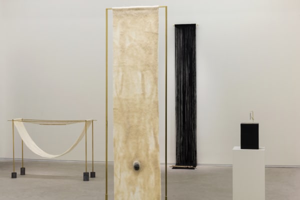 Campo Paloma Bosquê