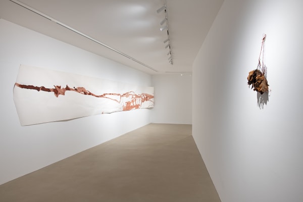 A AMAZONIA Soundwalk Collective & Patti Smith