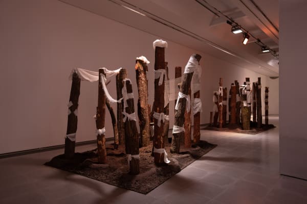 Third World: The Bottom Dimension