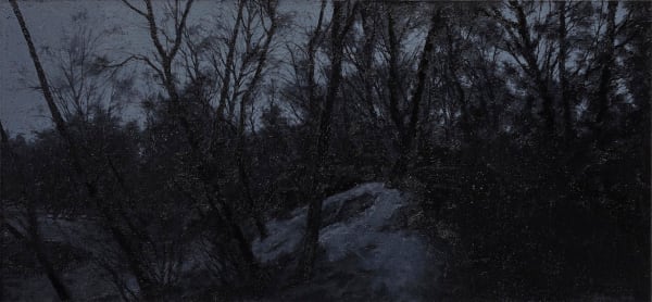 Pan Jian, Shadow of Light 8, 2015