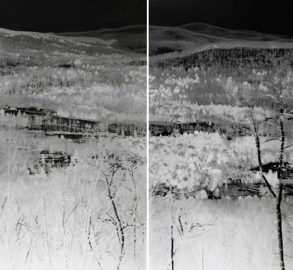 Shi Guorui, View of Catskill Mountains, New York, Mar 18-19 2019, 2019