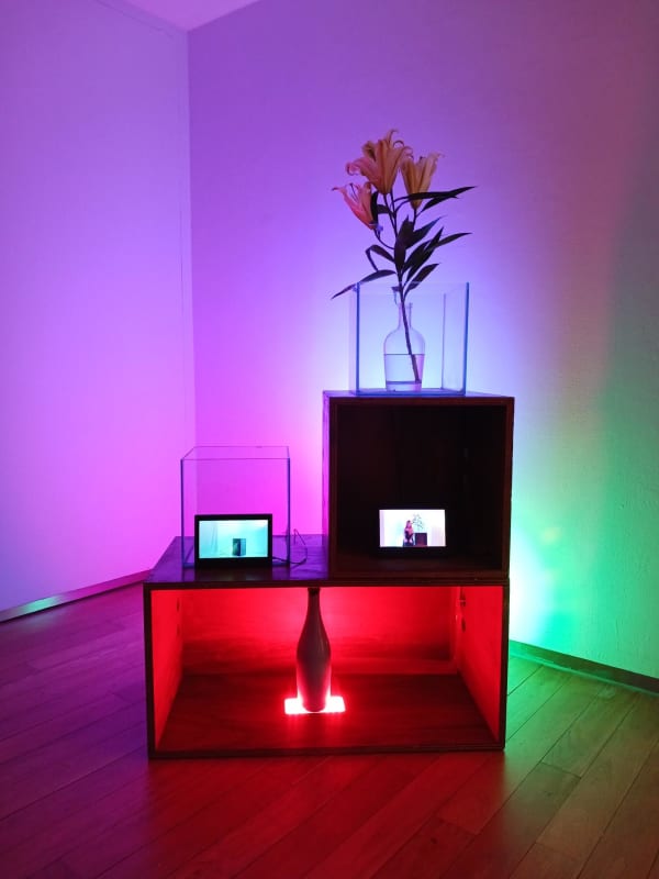 Jing Pang, Off the ground & The internal wave and the Lily, 2022