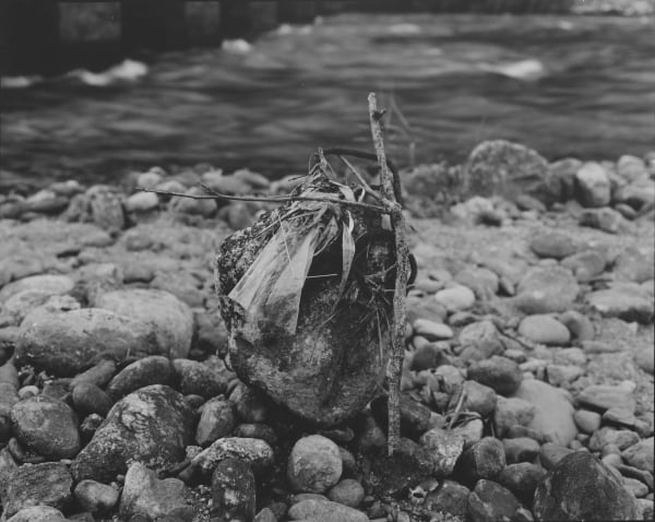 Huang Rui Water in Pine 5, 2000 gelatin silver print courtesy Original Sizes Available: 30 x 39 cm 50 x 60 cm Edition of 5 (Edition record)