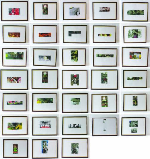 Surekha, Fragments Of A Wedding Diary, 2001