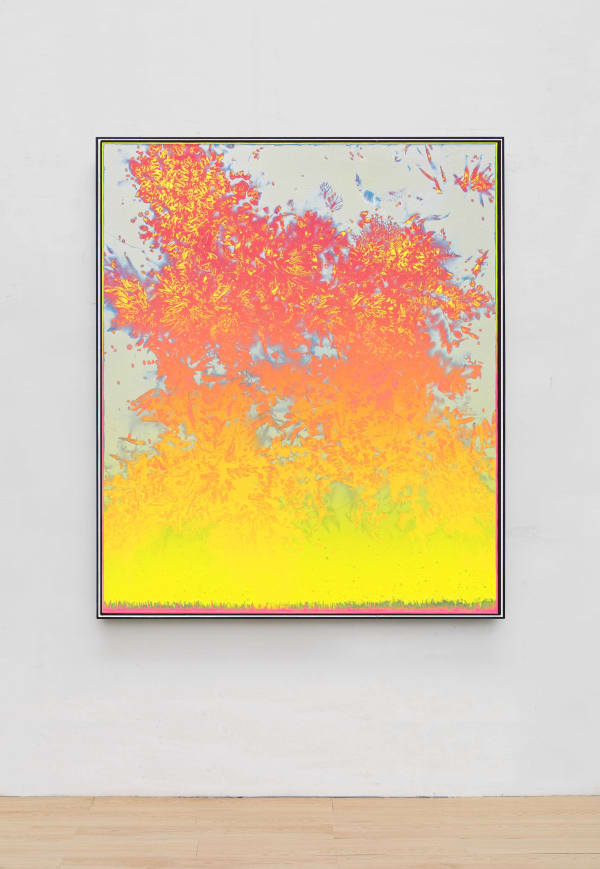 Pan Jian, Lightening's Edge-20200112, 2020