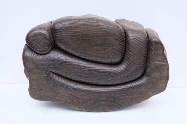 Wang Keping, Untitled (2 - WK21), 2006