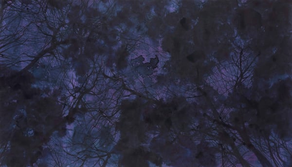 Pan Jian, Unimaginable Purple 2016-7, 2016