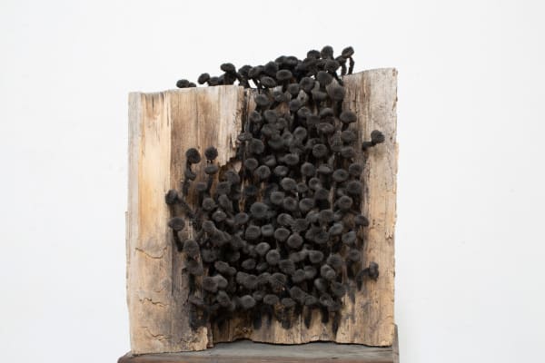 Wang Guangxu, Untitled, 2015