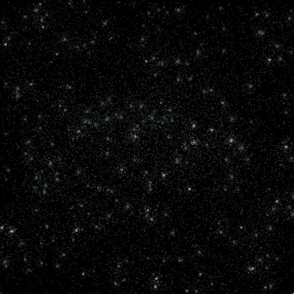 Lazarus Chan, Petri.Vista frame 043376, 2020