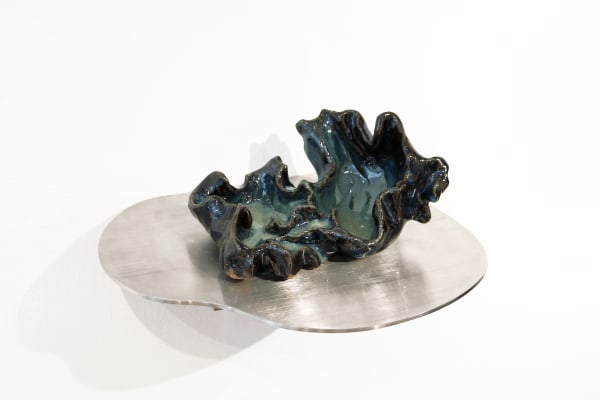 Zoë Marden, oysterblubloom, 2023