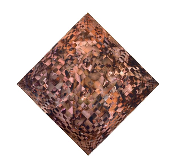 Dinh Q. Lê, Gay Mixed No.2, 2018