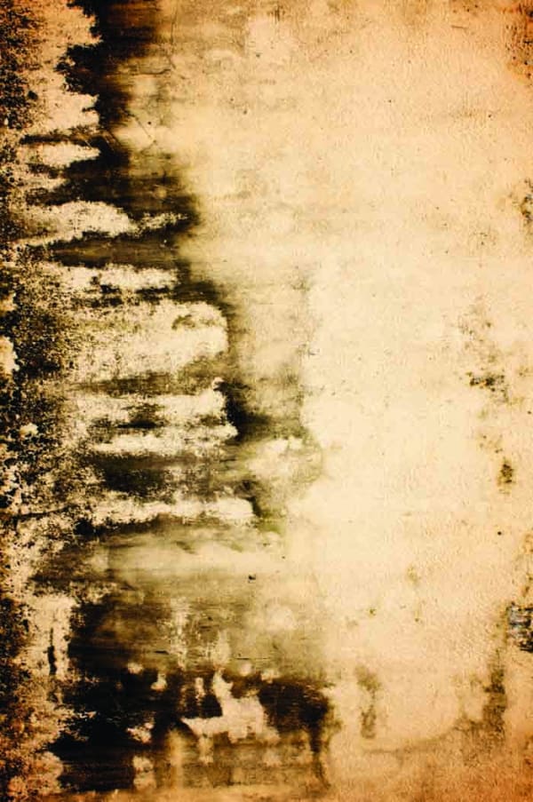 Phu Nam Thuc Ha, Pati-Nation No.6-Nhi Dong 2 Hospital, Ho Chi Minh City. East wall, 2008