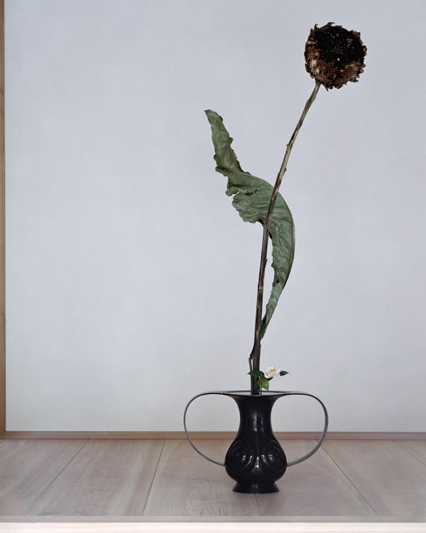 anothermountainman (Stanley Wong), reborn ikebana - 02A by anothermountainman (Stanley Wong) x Shuho, 2011