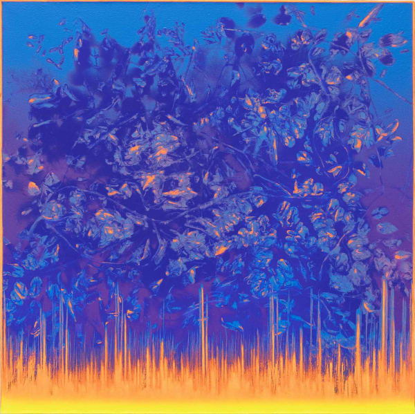 Pan Jian, Lightening's Edge-20200122, 2020