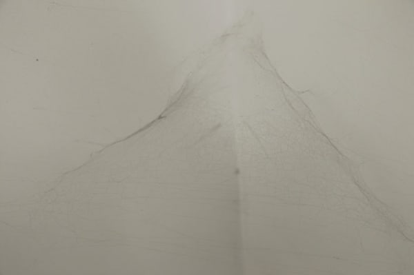 Muchen, Webbed.W16, 2013