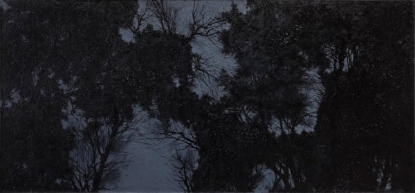 Pan Jian, Shadow of Light 4, 2015