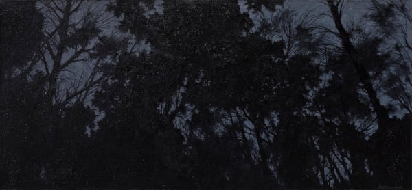 Pan Jian, Shadow of Light 9, 2015