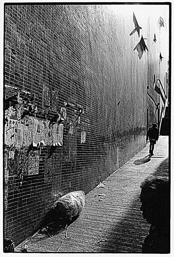 Serge Clément, Allée, 1995