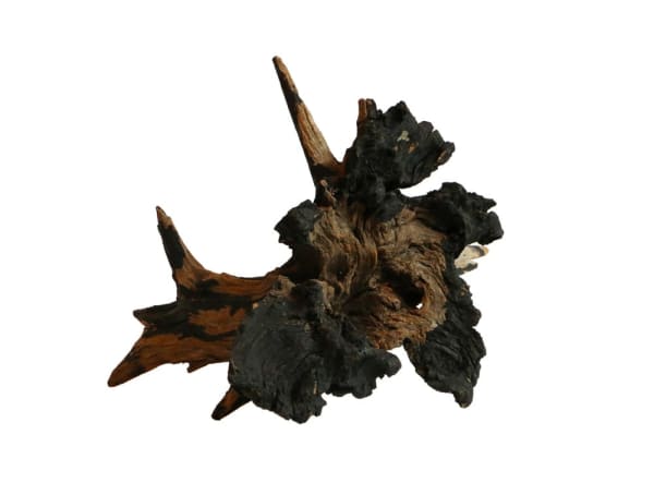 Frog King, Ink Flower, Unknown