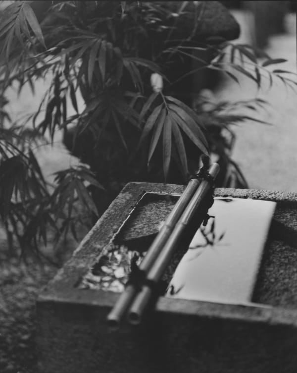 Huang Rui Water in Pine 1, 2000 gelatin silver print courtesy Original Sizes Available: 39 x 30 cm 60 x 50 cm Edition of 5 (Edition record)