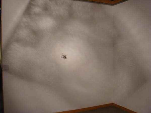 Tiana Wong, Wallfowers, 2013