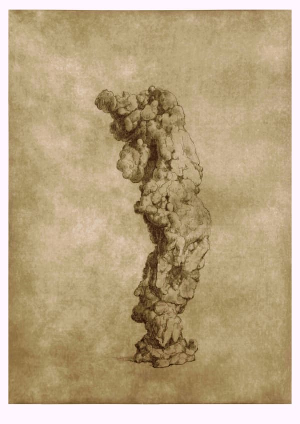 Shao Yinong, Objects of Nature - Nanzhao, 2014