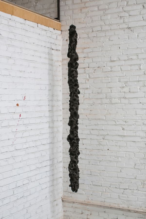 Wang Guangxu, Fur, 2015